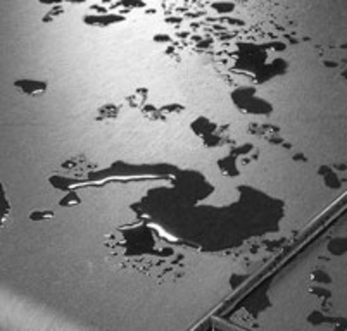 Watertight, dustproof and crushproof