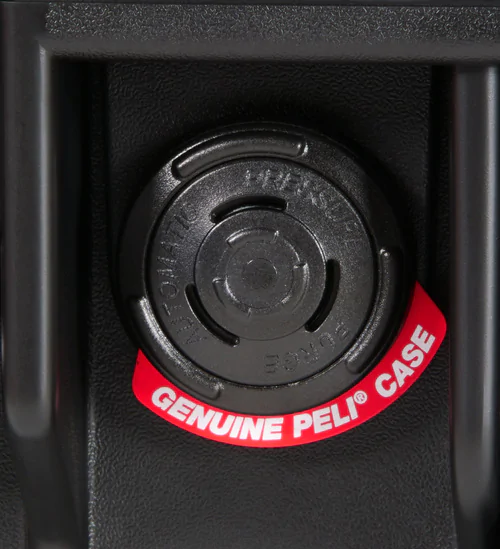 Automatic Air Pressure Valve