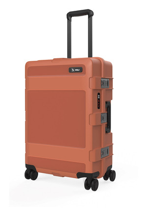 Peli 25